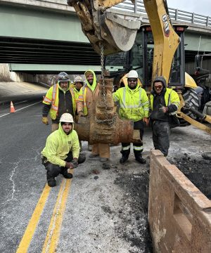 Adams Favorite Adams Favorite